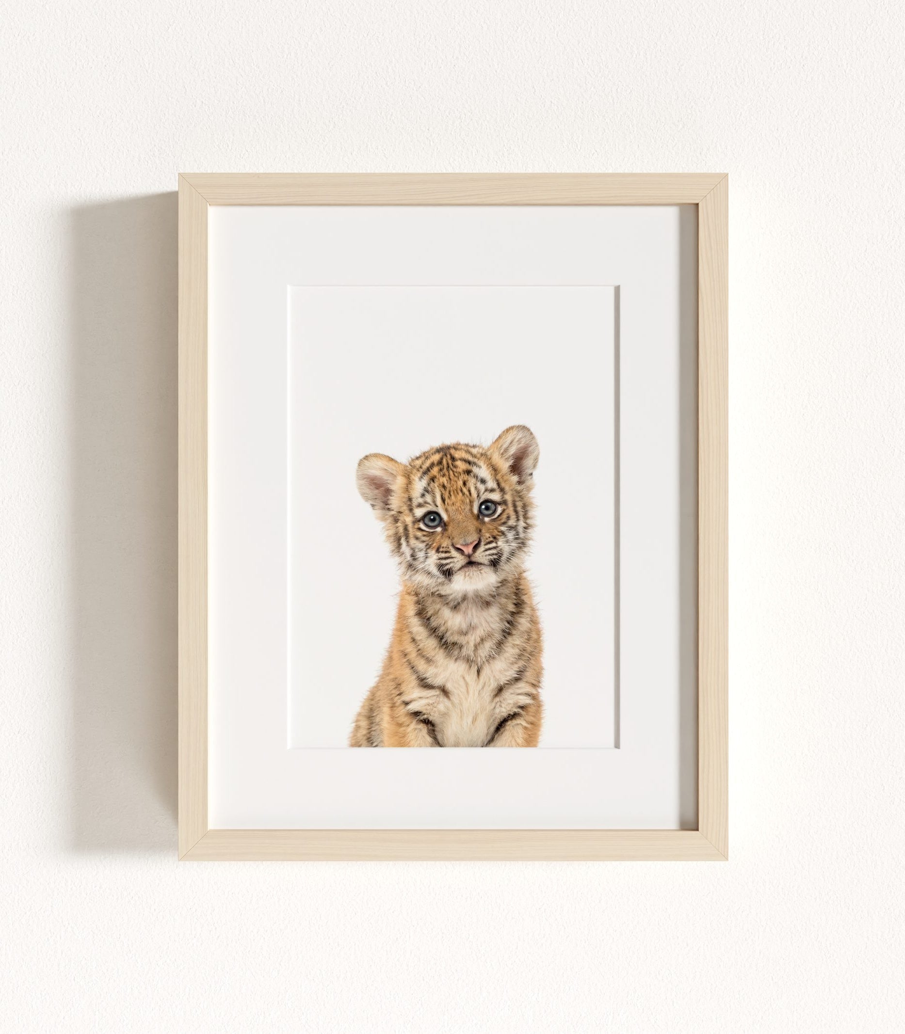 The Baby Animals 2026 Collection