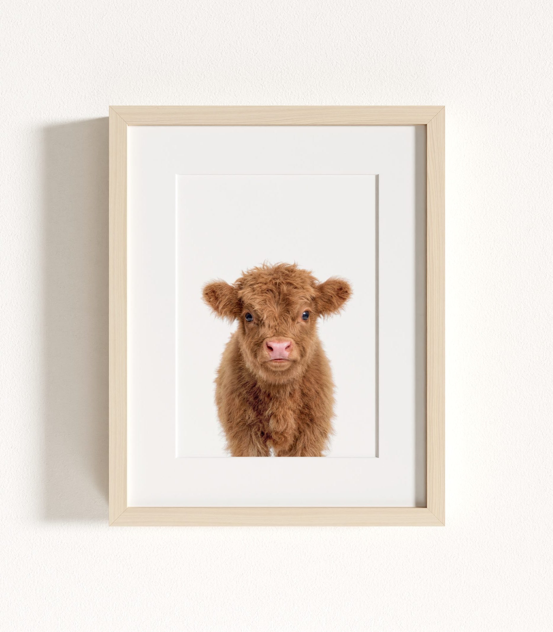 The Baby Animals 2026 Collection