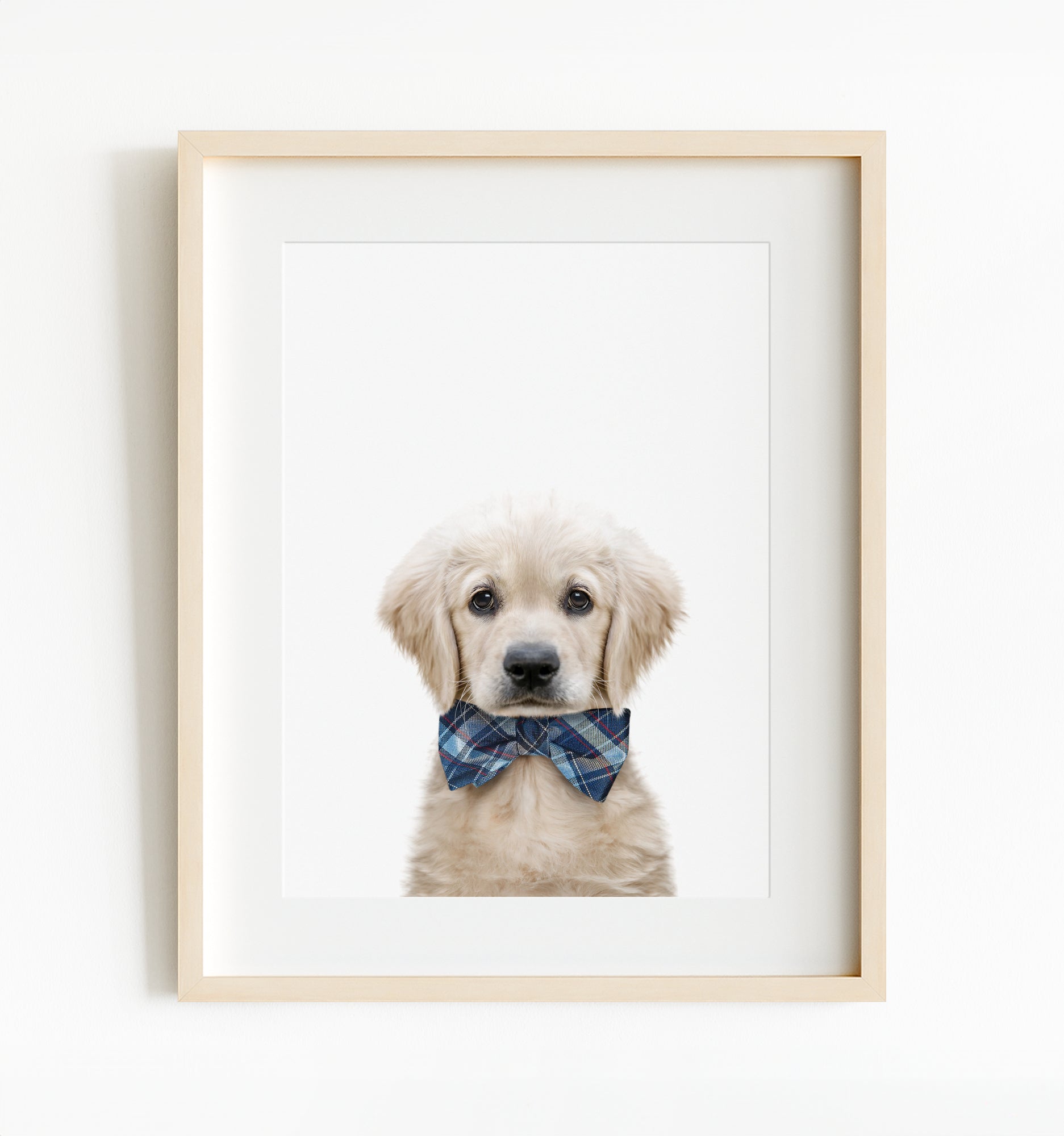 Baby Puppy Golden Retriever Portrait – The Crown Prints