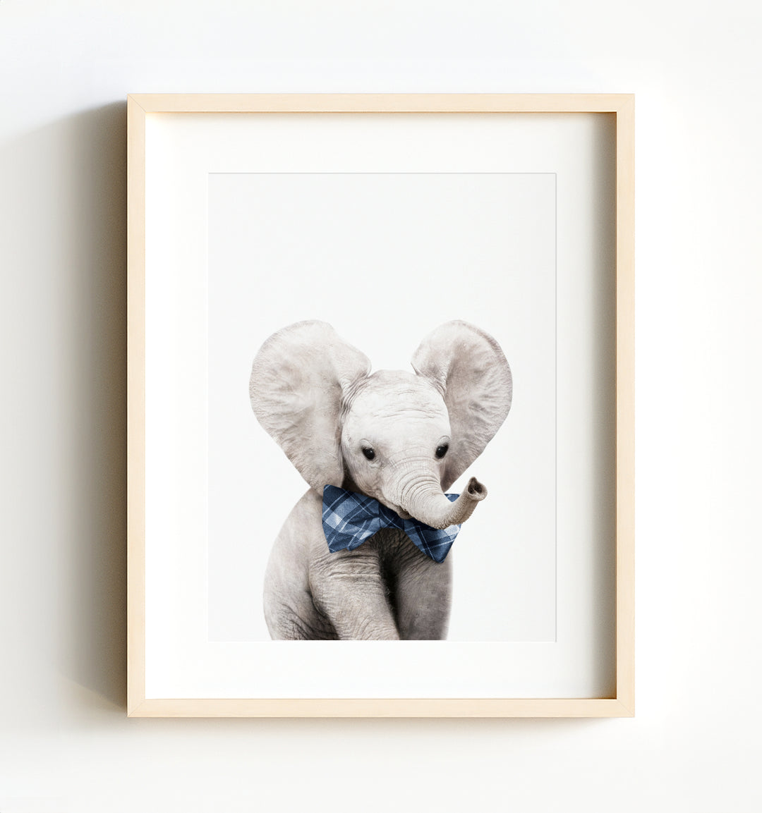 Baby Elephant - The Crown Prints