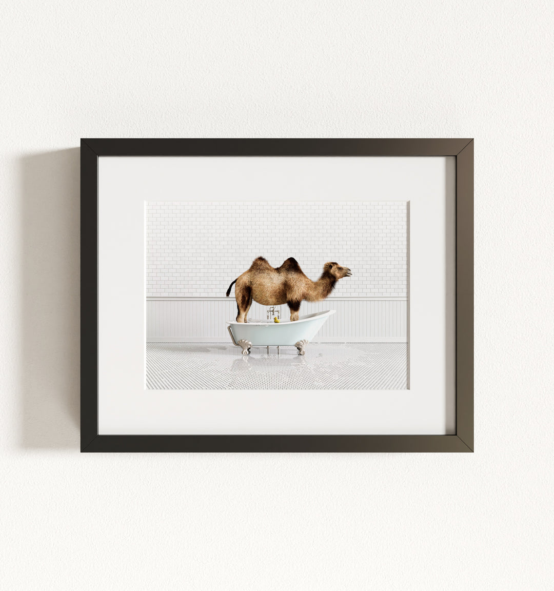 Framed Animals in Bathtubs - Mix and Match Horizontal