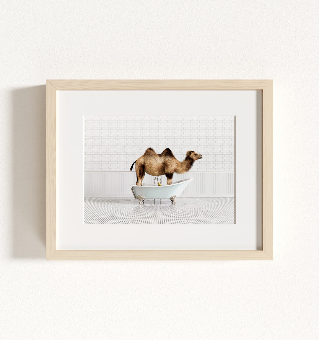 Framed Animals in Bathtubs - Mix and Match Horizontal