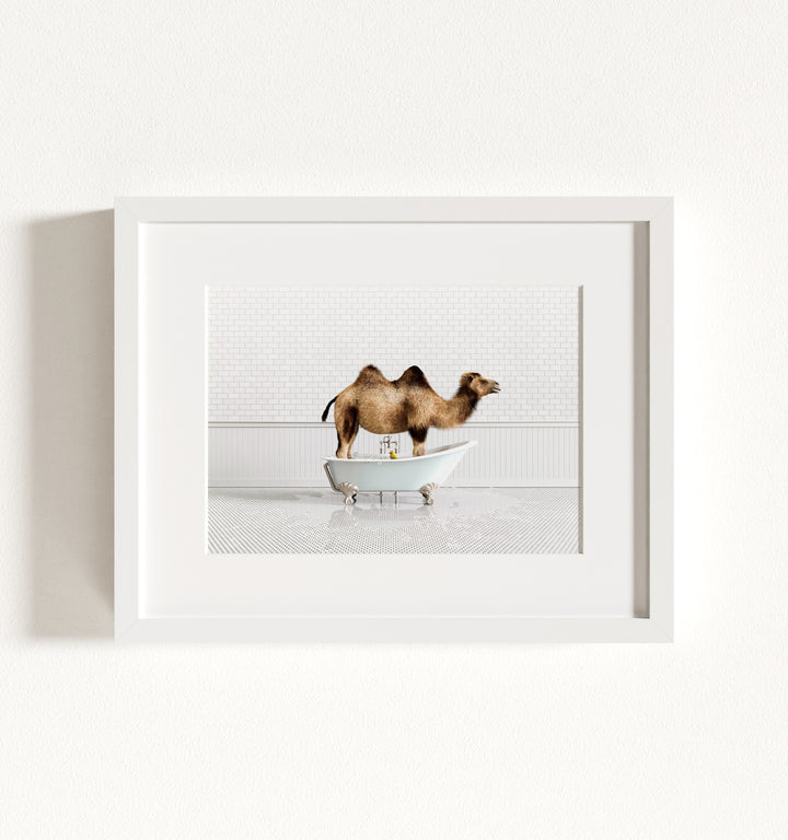 Framed Animals in Bathtubs - Mix and Match Horizontal
