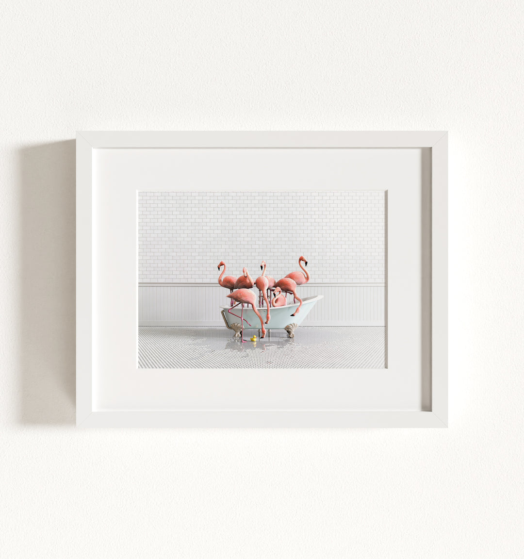 Framed Animals in Bathtubs - Mix and Match Horizontal