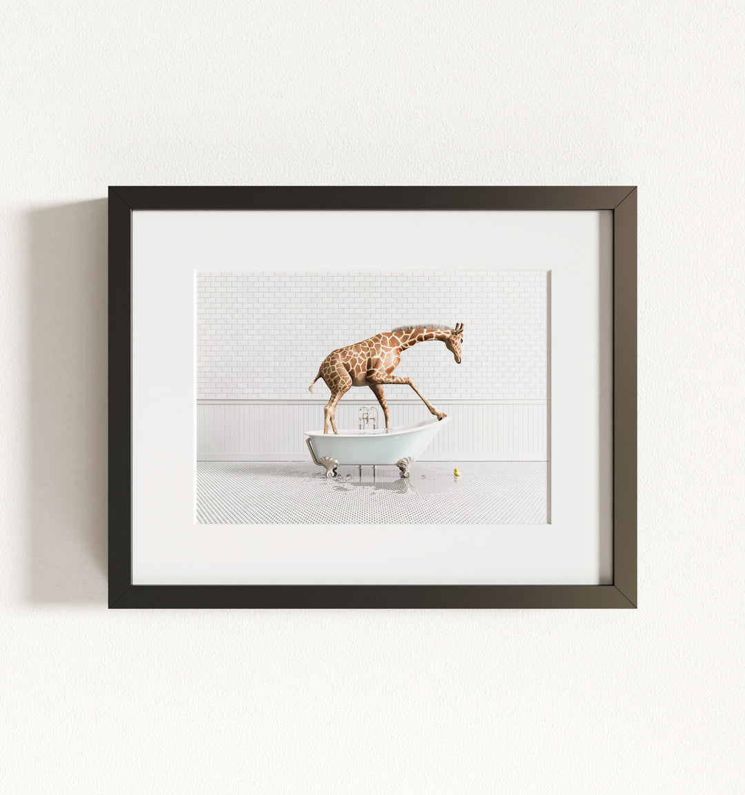 Framed Animals in Bathtubs - Mix and Match Horizontal