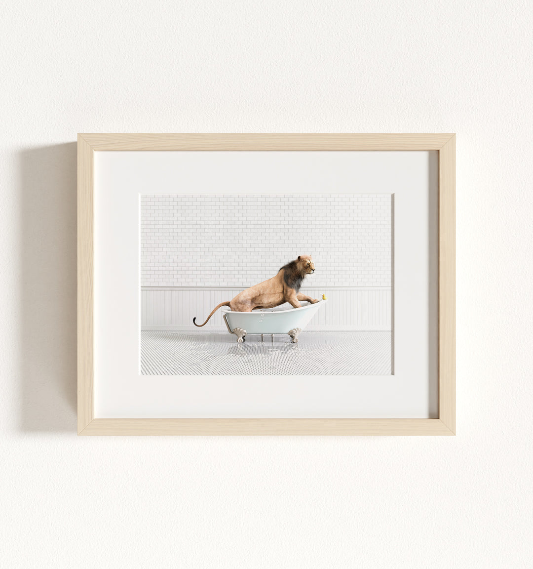 Framed Animals in Bathtubs - Mix and Match Horizontal
