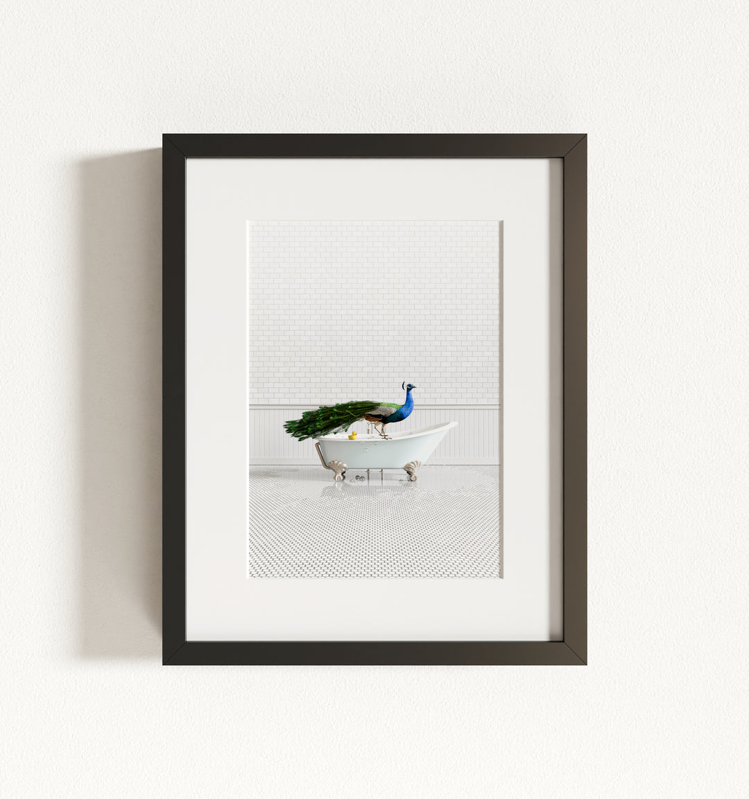 Peacock in Blue Bathtub Framed Art