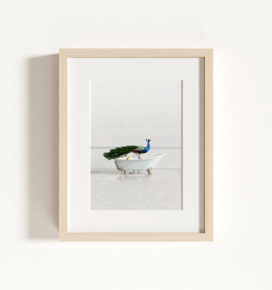 Peacock in Blue Bathtub Framed Art