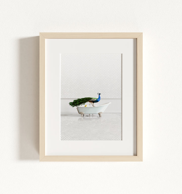 Peacock in Blue Bathtub Framed Art