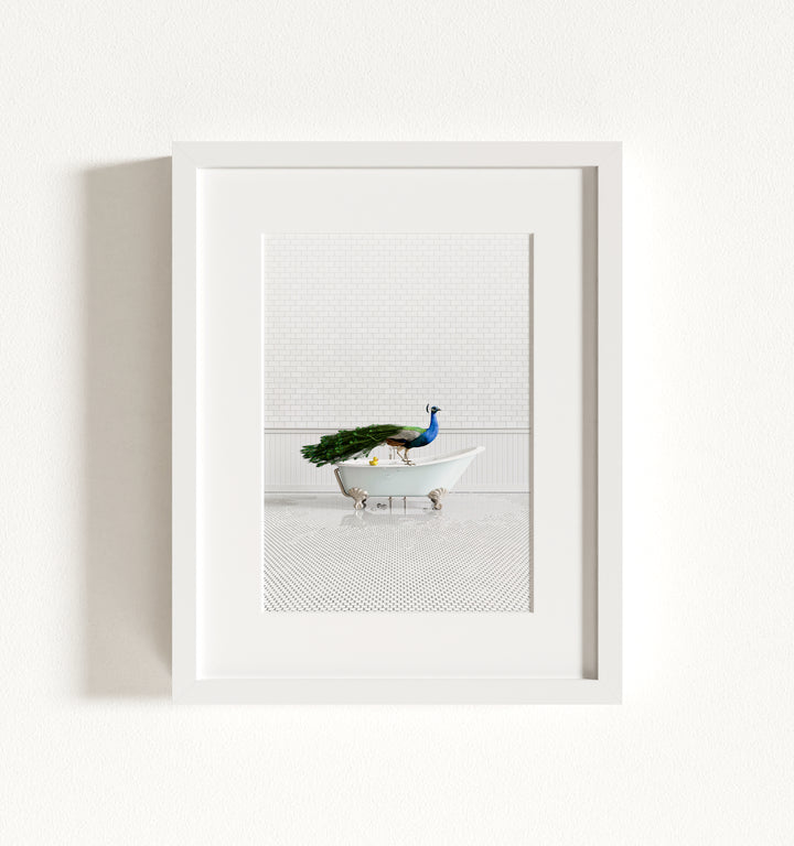 Peacock in Blue Bathtub Framed Art
