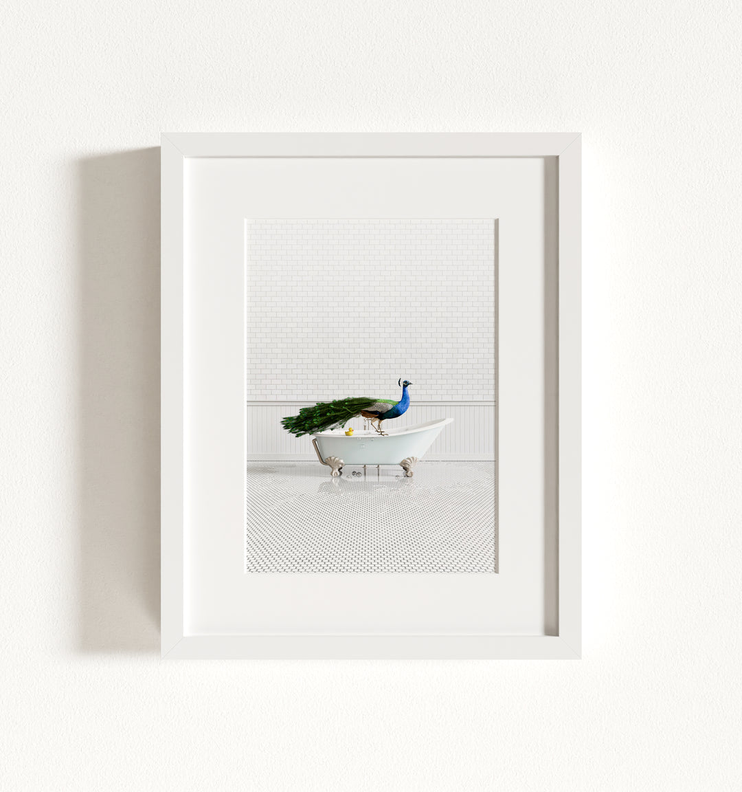 Peacock in Blue Bathtub Framed Art