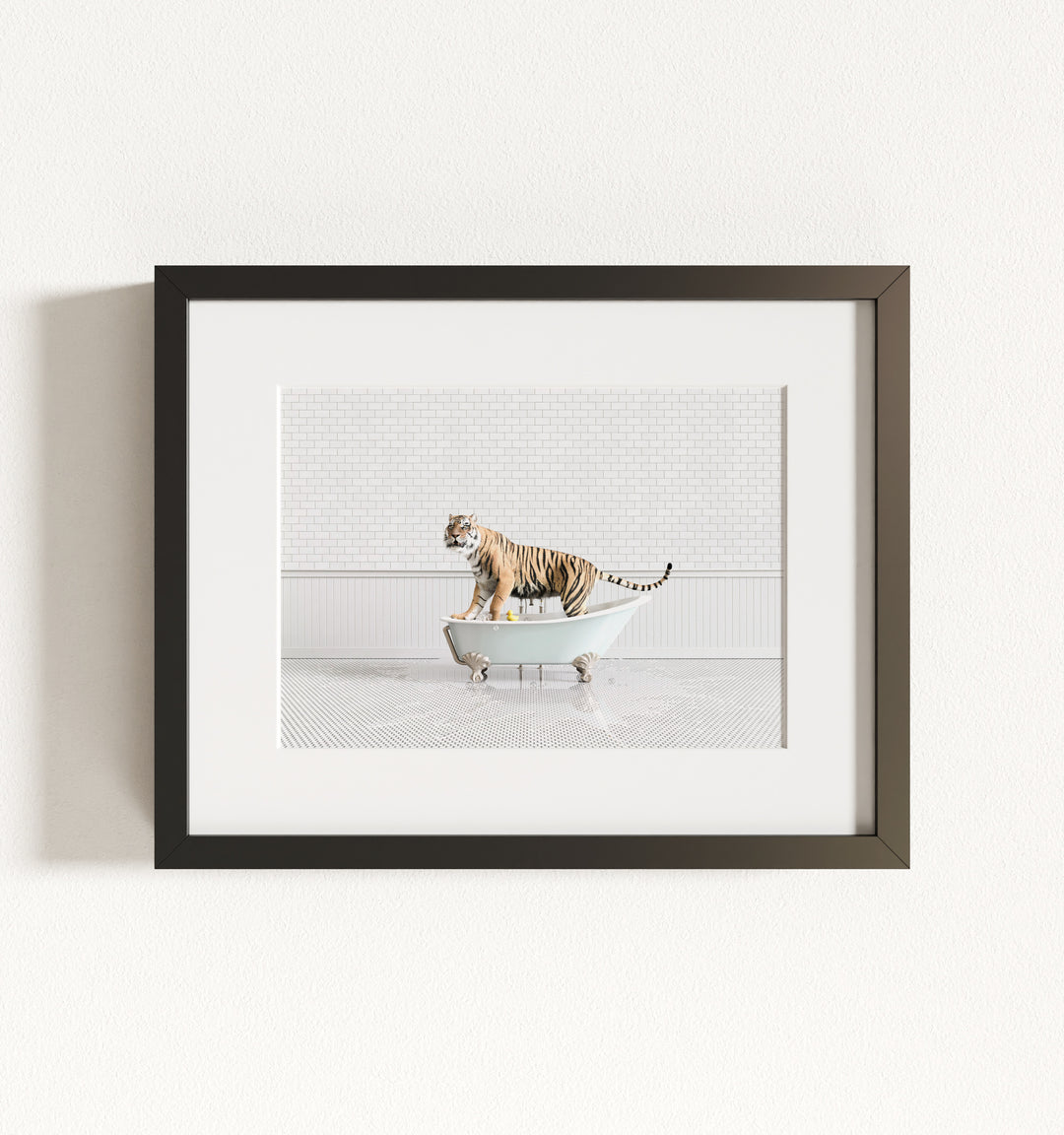 Tiger in Blue Bathtub Framed Art