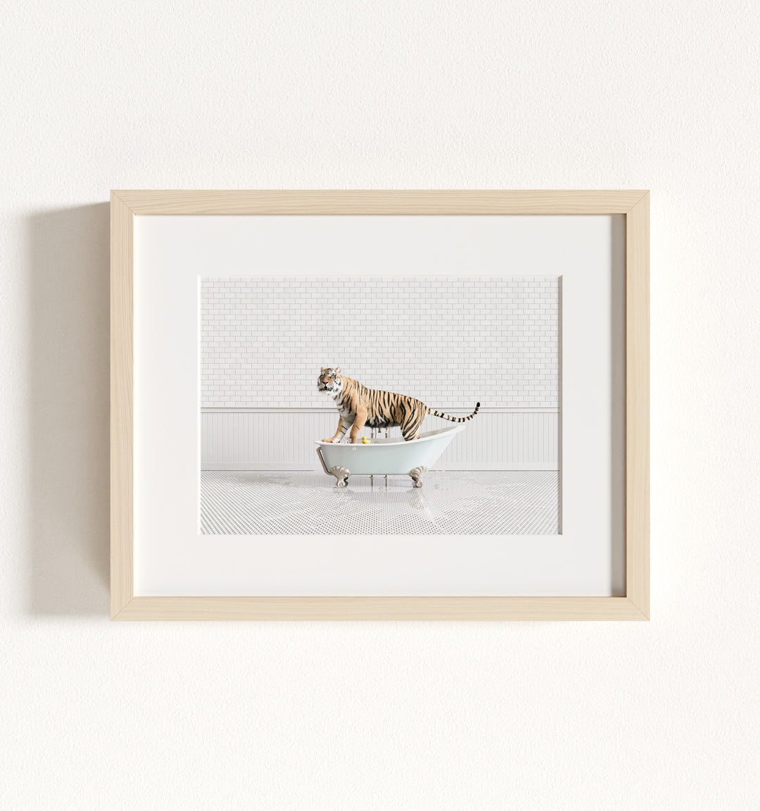 Tiger in Blue Bathtub Framed Art