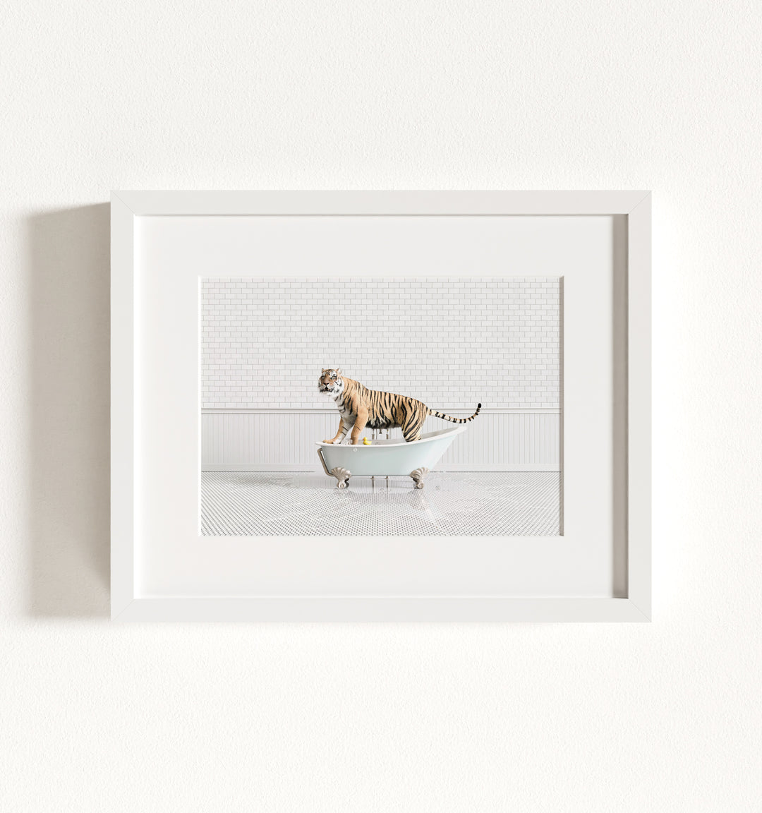 Framed Animals in Bathtubs - Mix and Match Horizontal