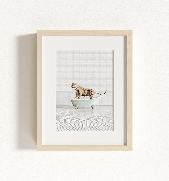 Tiger in Blue Bathtub Framed Art