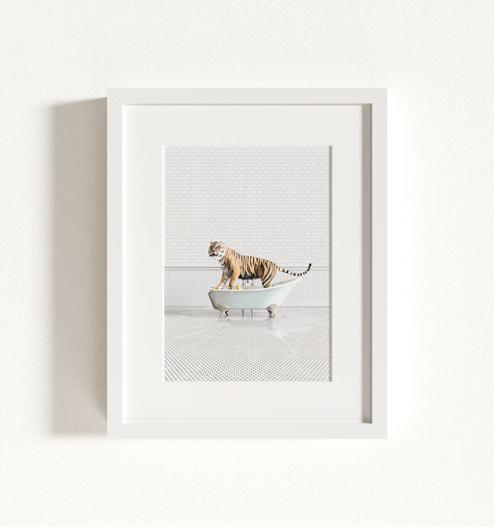 Tiger in Blue Bathtub Framed Art