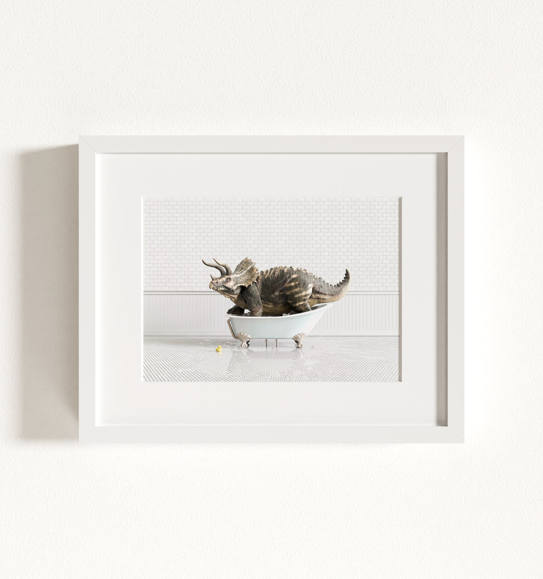 Framed Animals in Bathtubs - Mix and Match Horizontal