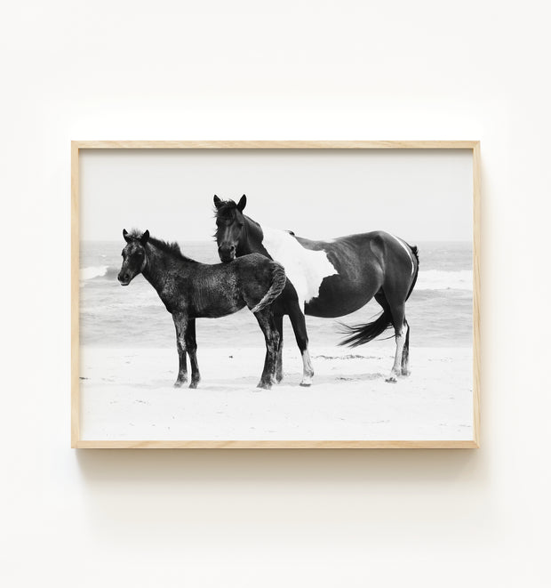 Black & White Mare and Foal