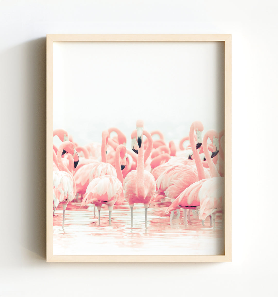 Læring fiber klimaks Pink Flamingos - The Crown Prints