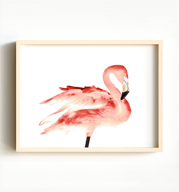 Illuminated Flamingo