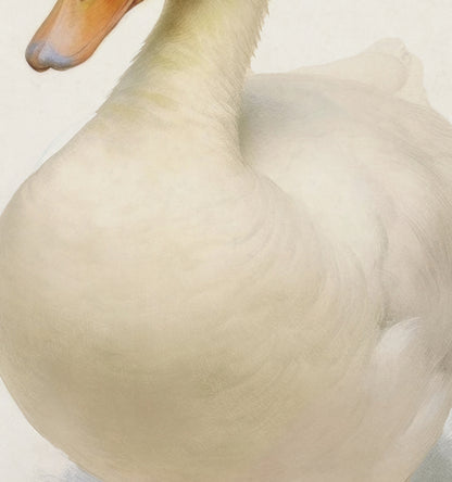 Storybook Duck