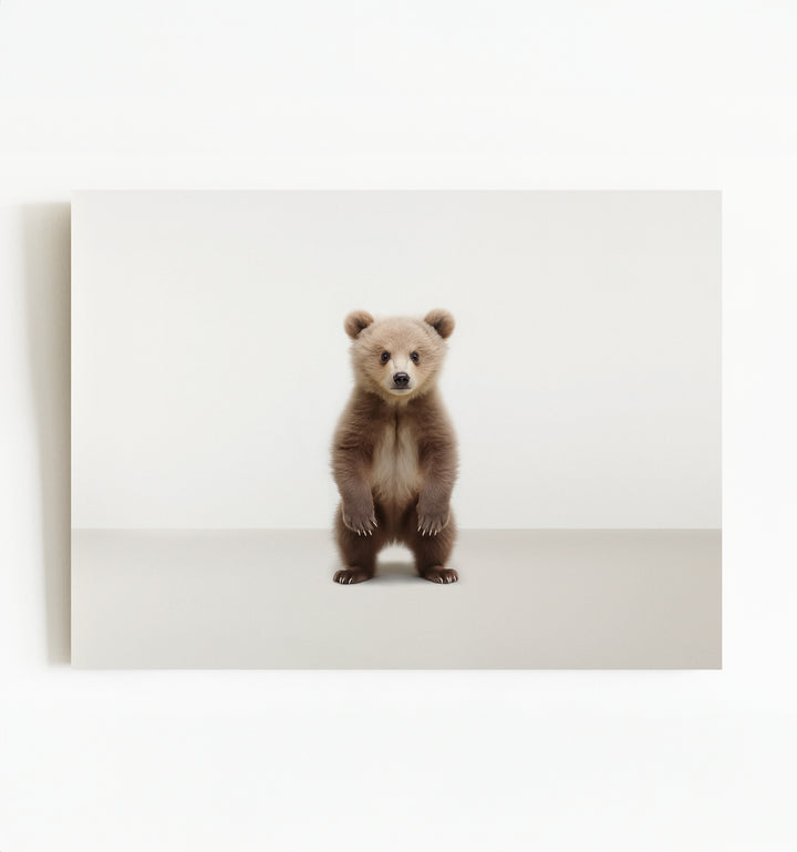 Studio Bear Art Print