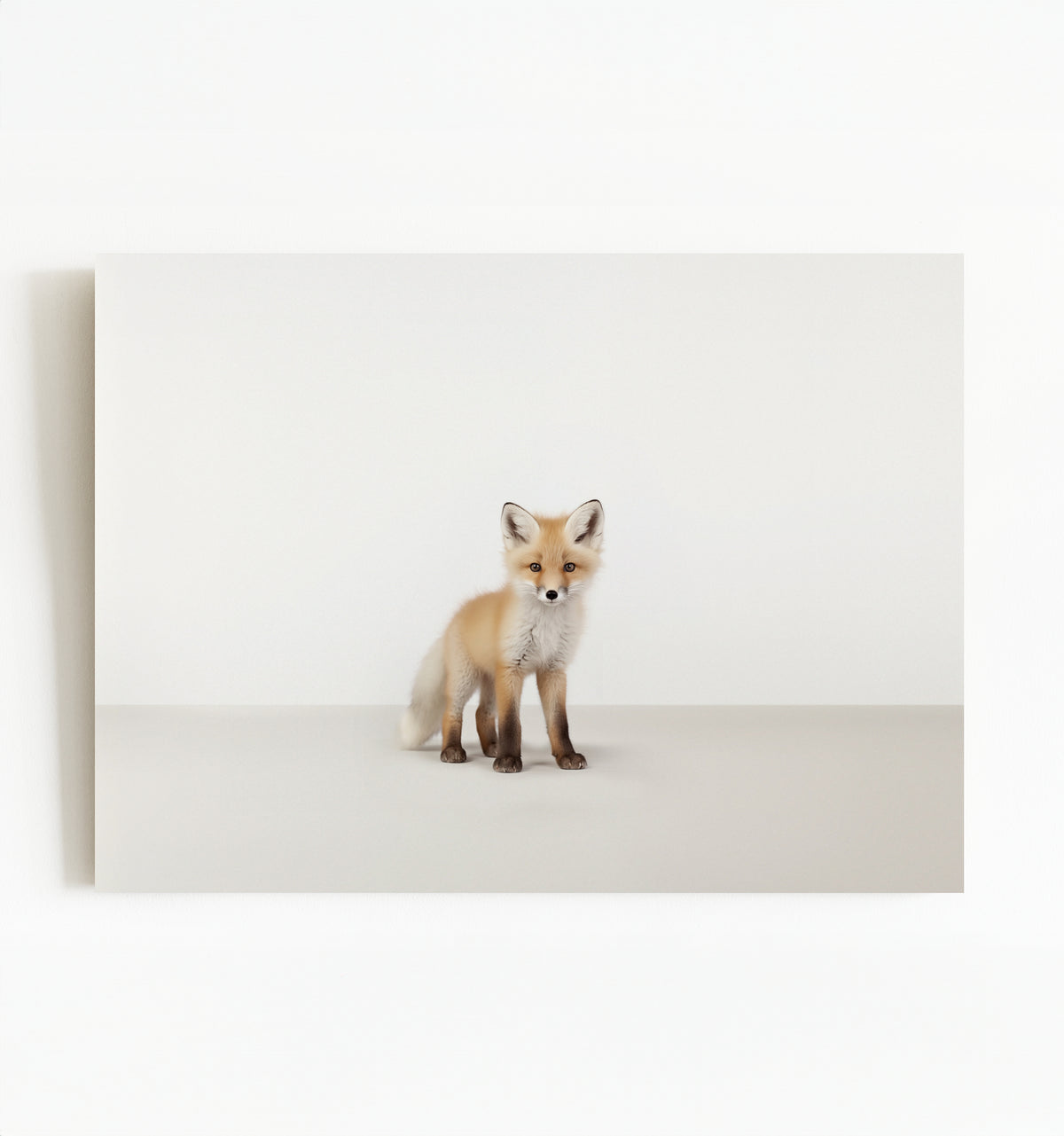 Studio Fox Art Print