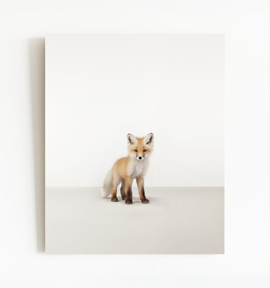 Studio Fox Art Print