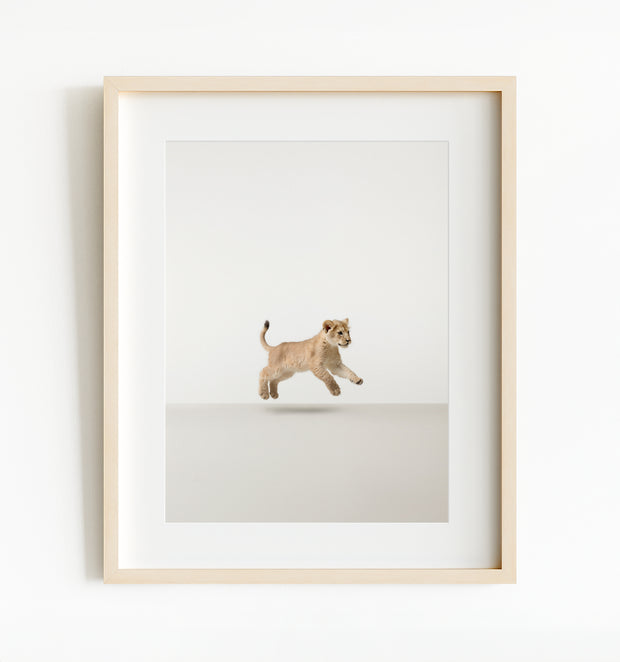 Studio Lion Art Print