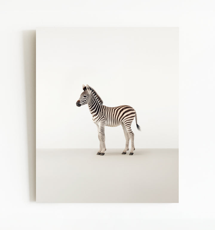 Studio Zebra Art Print