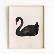 Black Swan