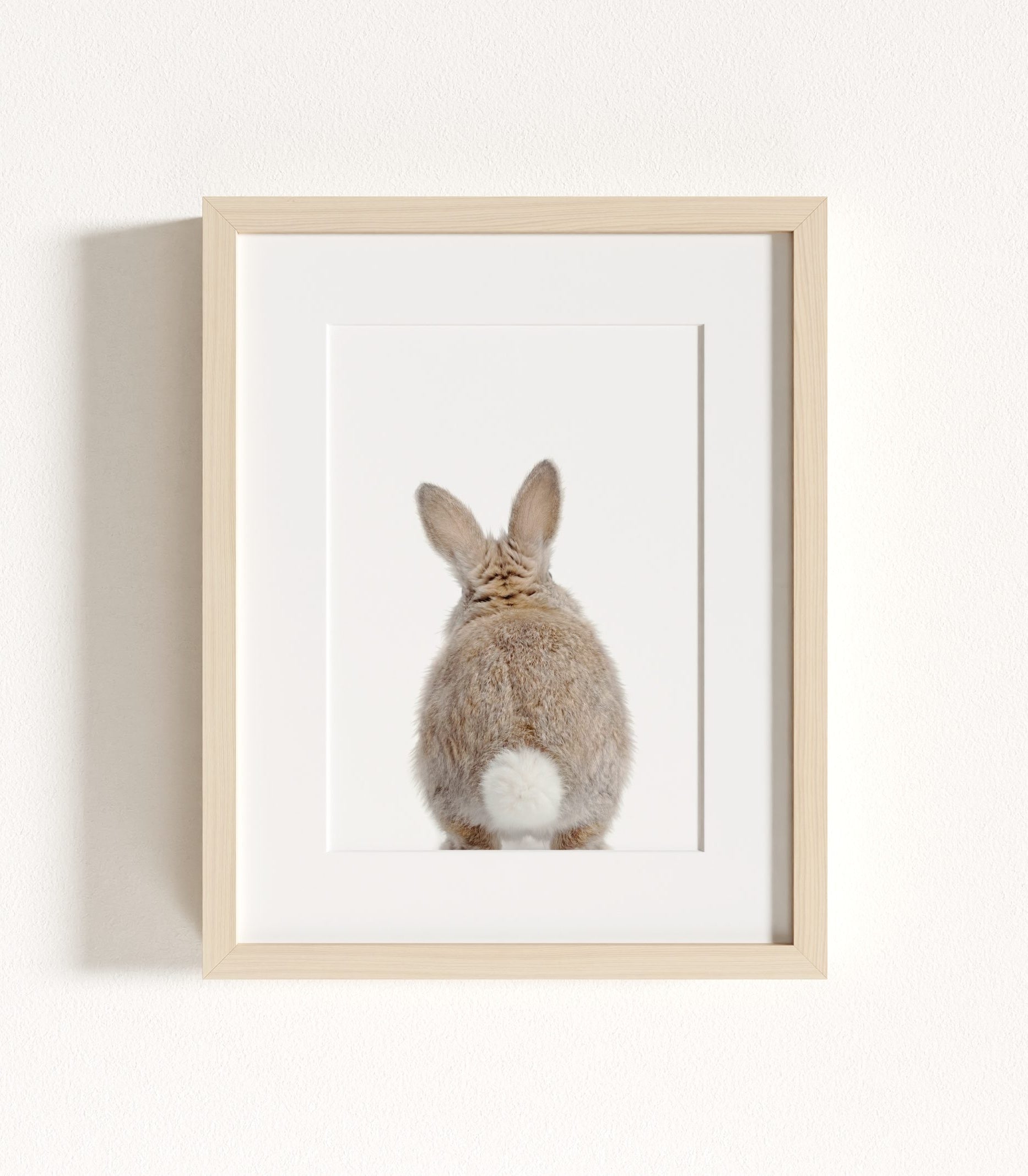 The Baby Animals 2026 Collection