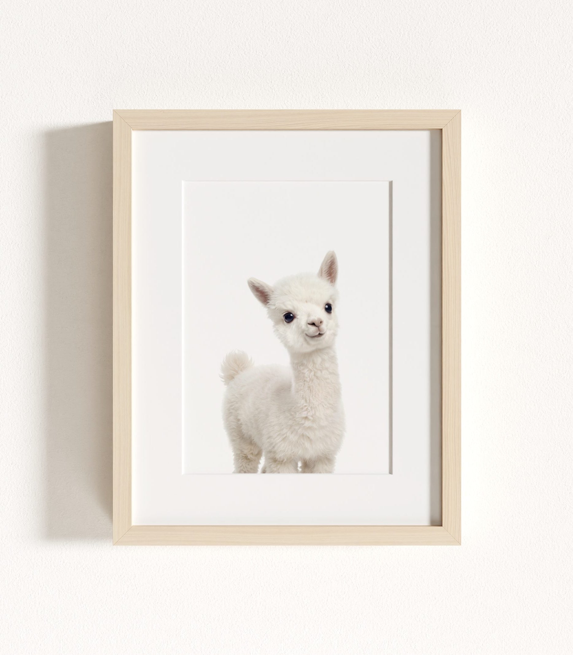 The Baby Animals 2026 Collection