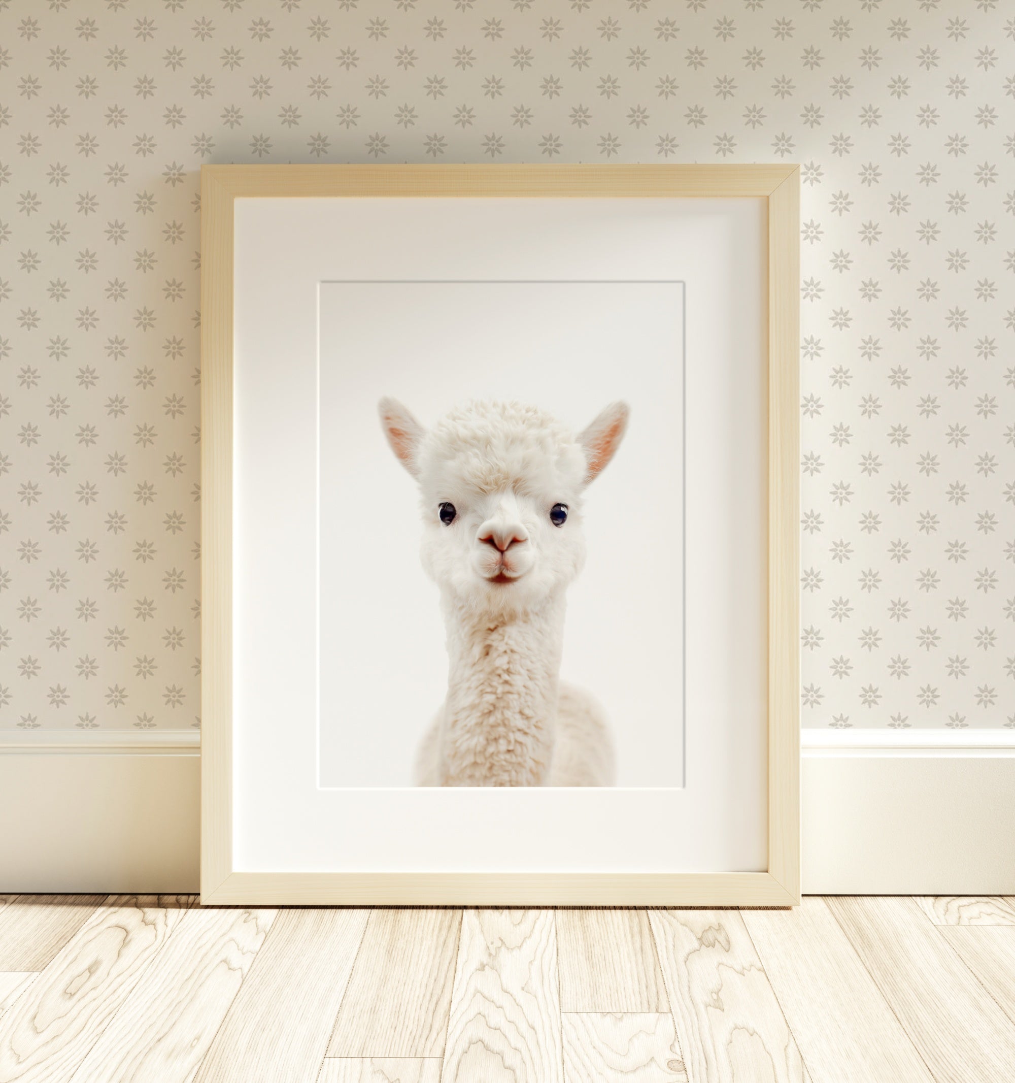 The Baby Animals 2026 Collection - Classic