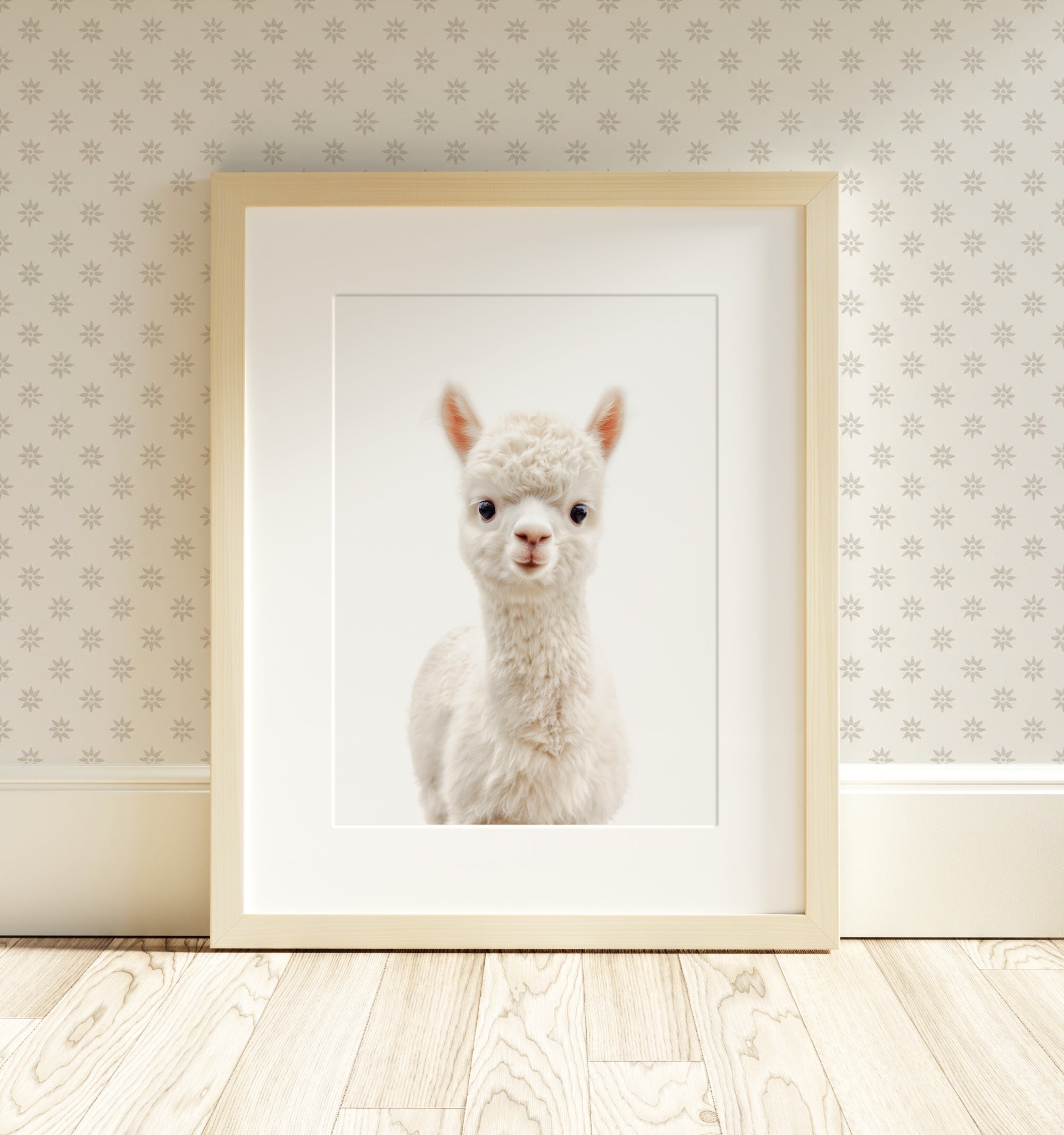 The Baby Animals 2026 Collection - Classic