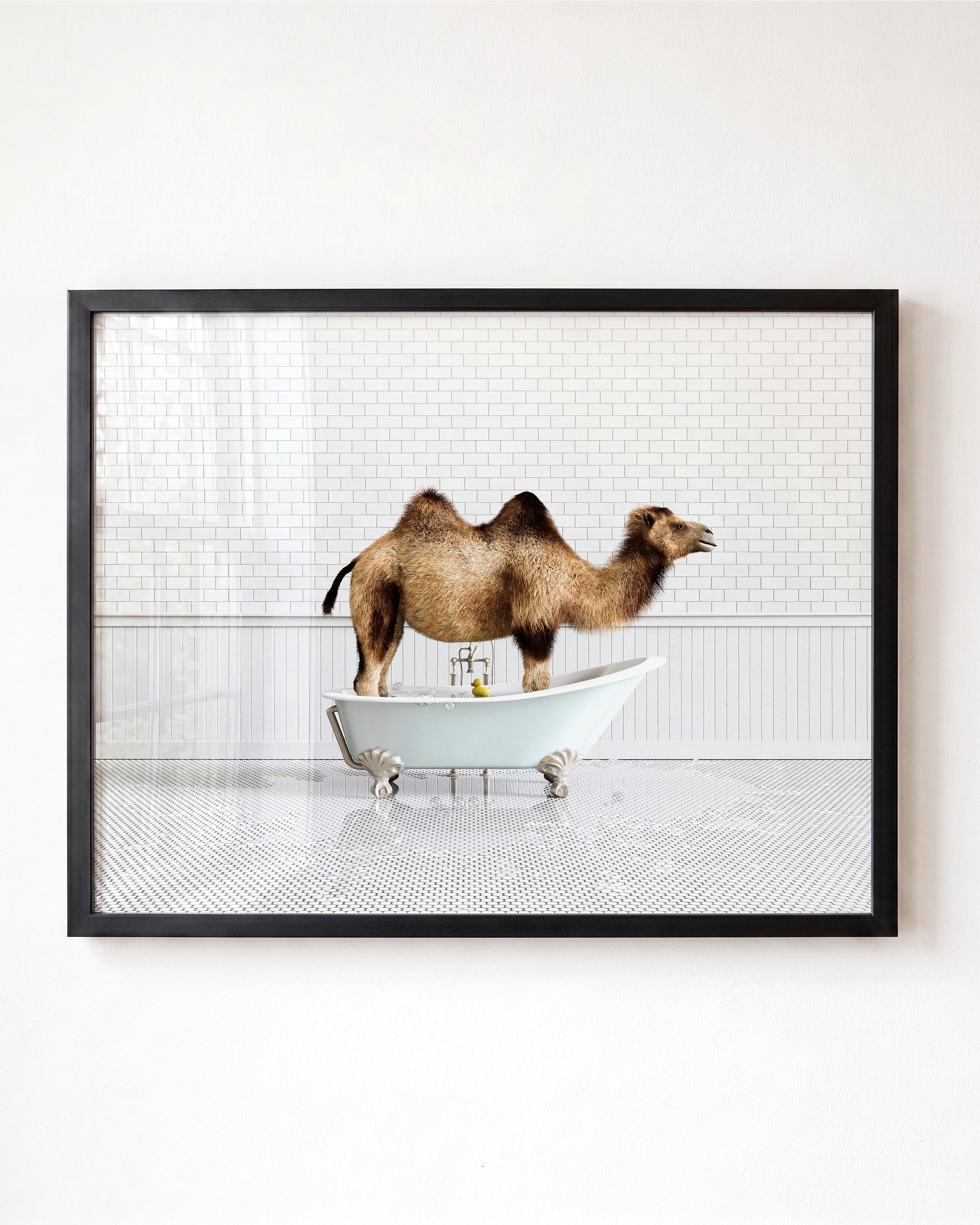Animals in Bathtubs - Mix and Match Horizontal