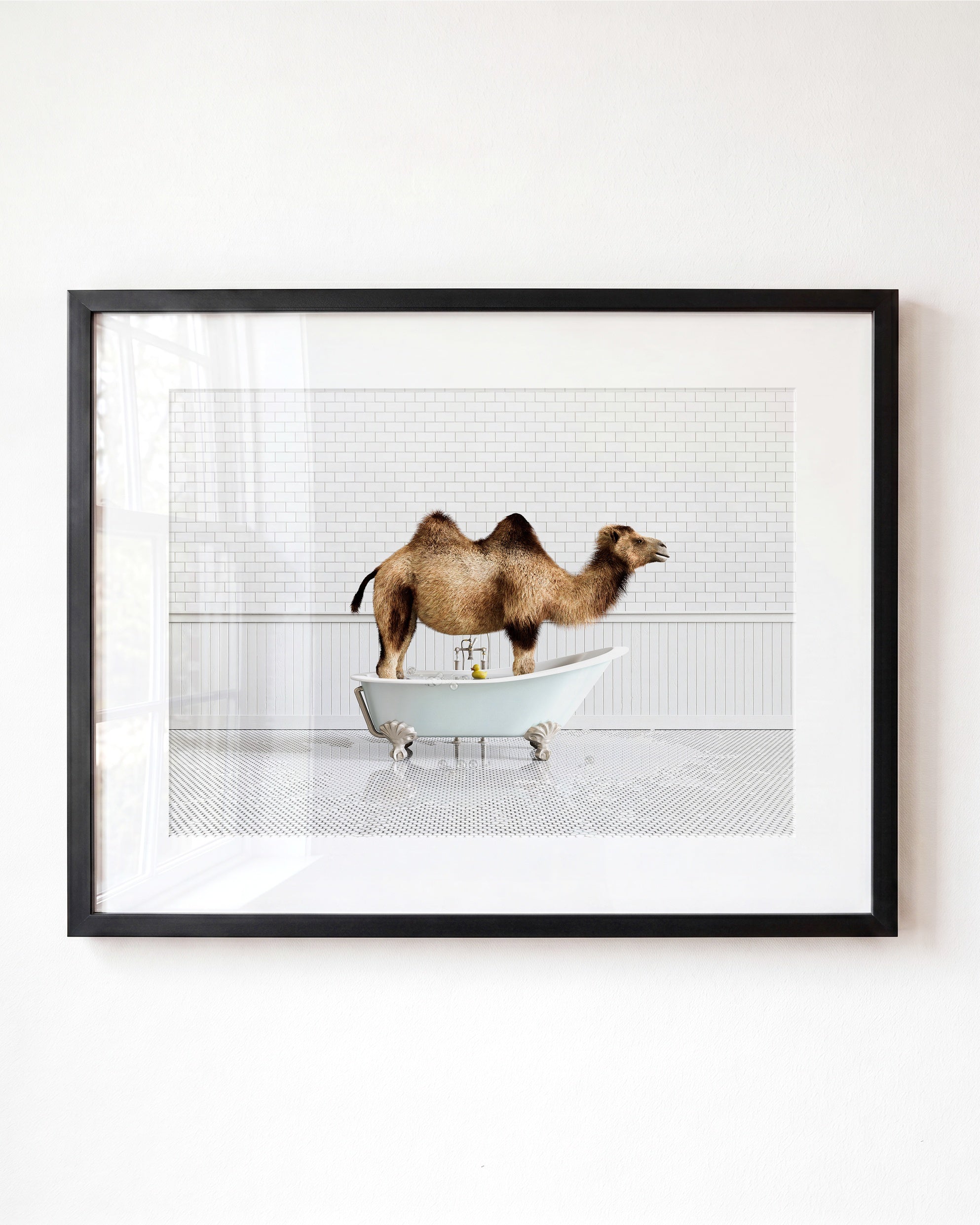 Animals in Bathtubs - Mix and Match Horizontal