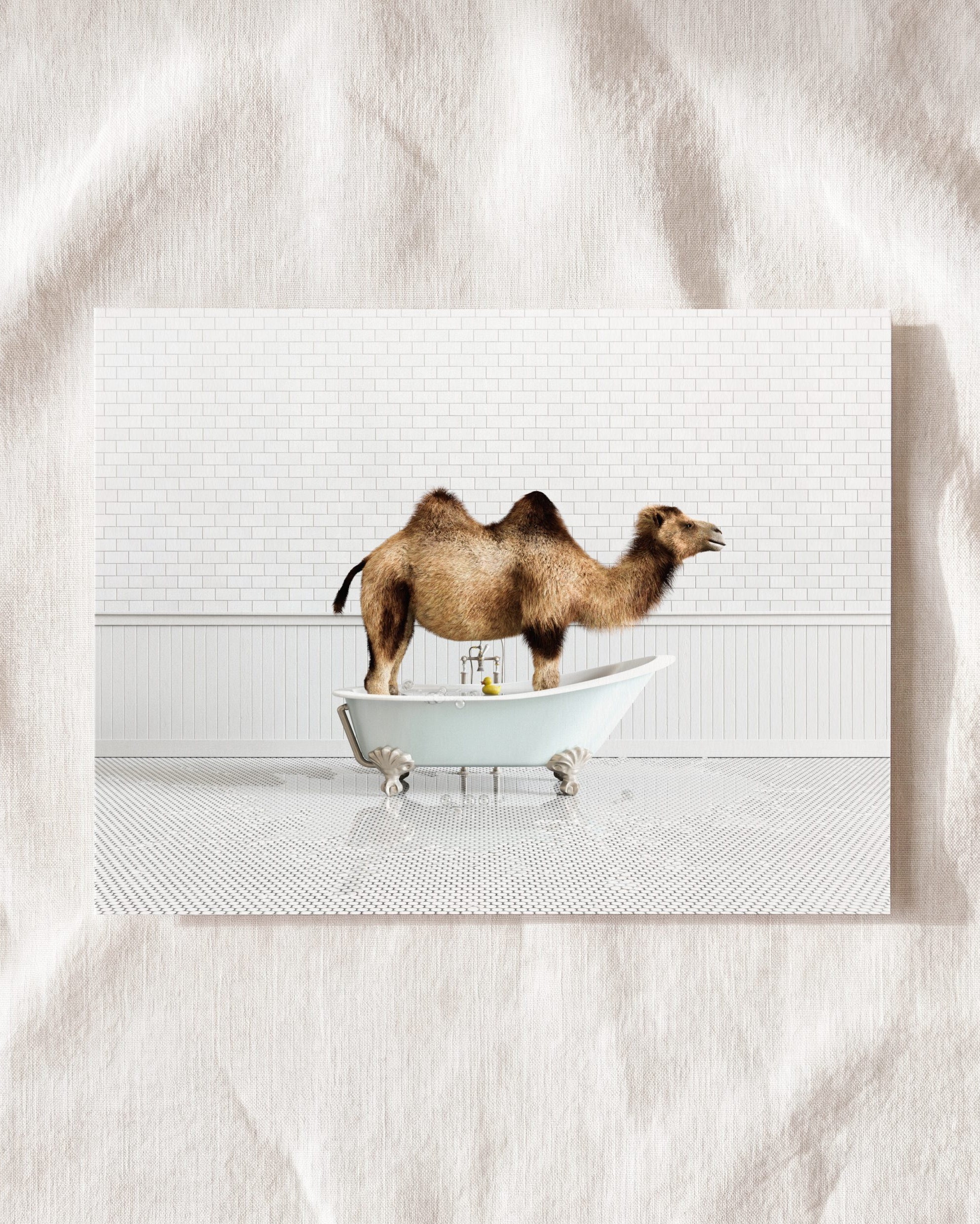 Animals in Bathtubs - Mix and Match Horizontal