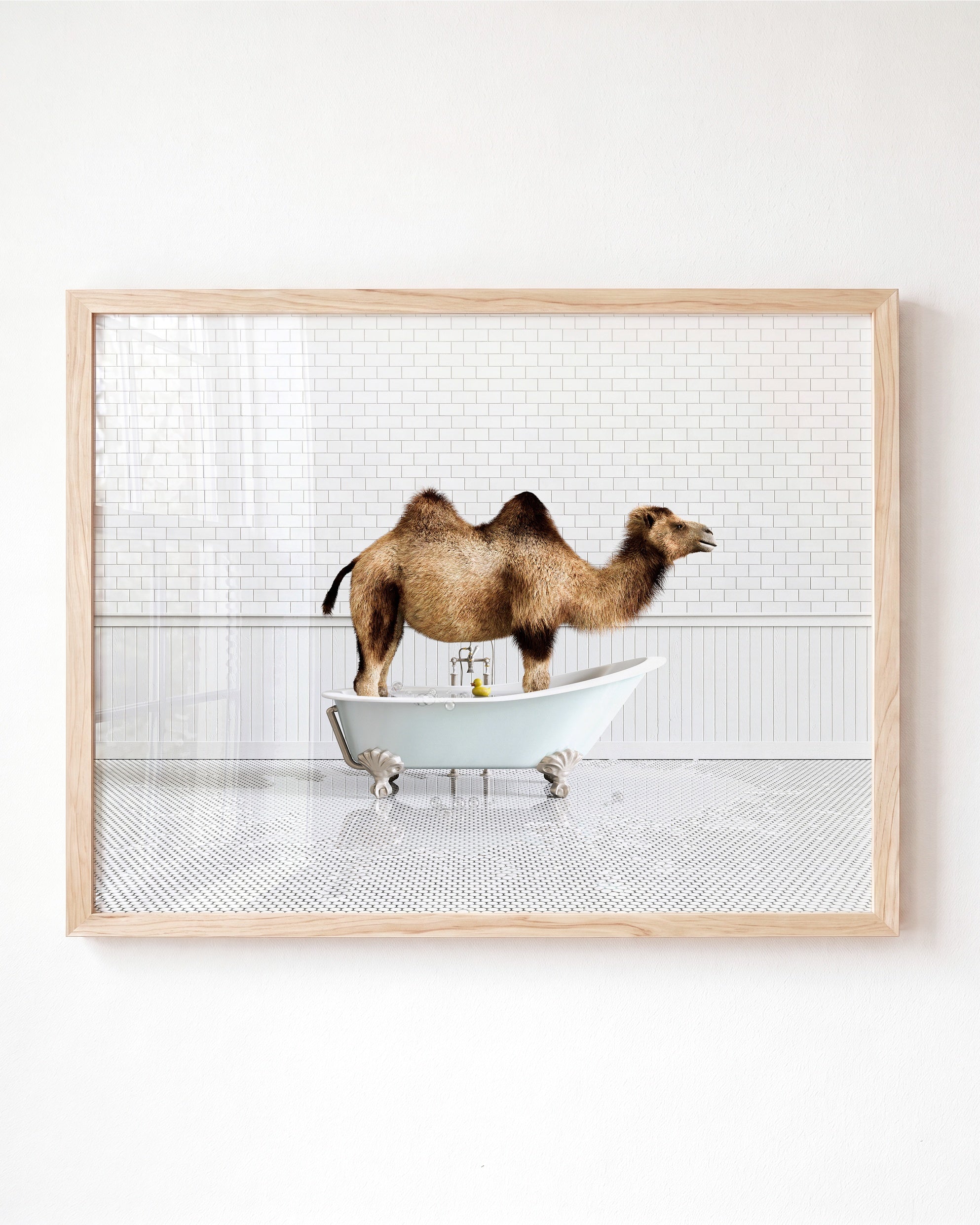 Animals in Bathtubs - Mix and Match Horizontal