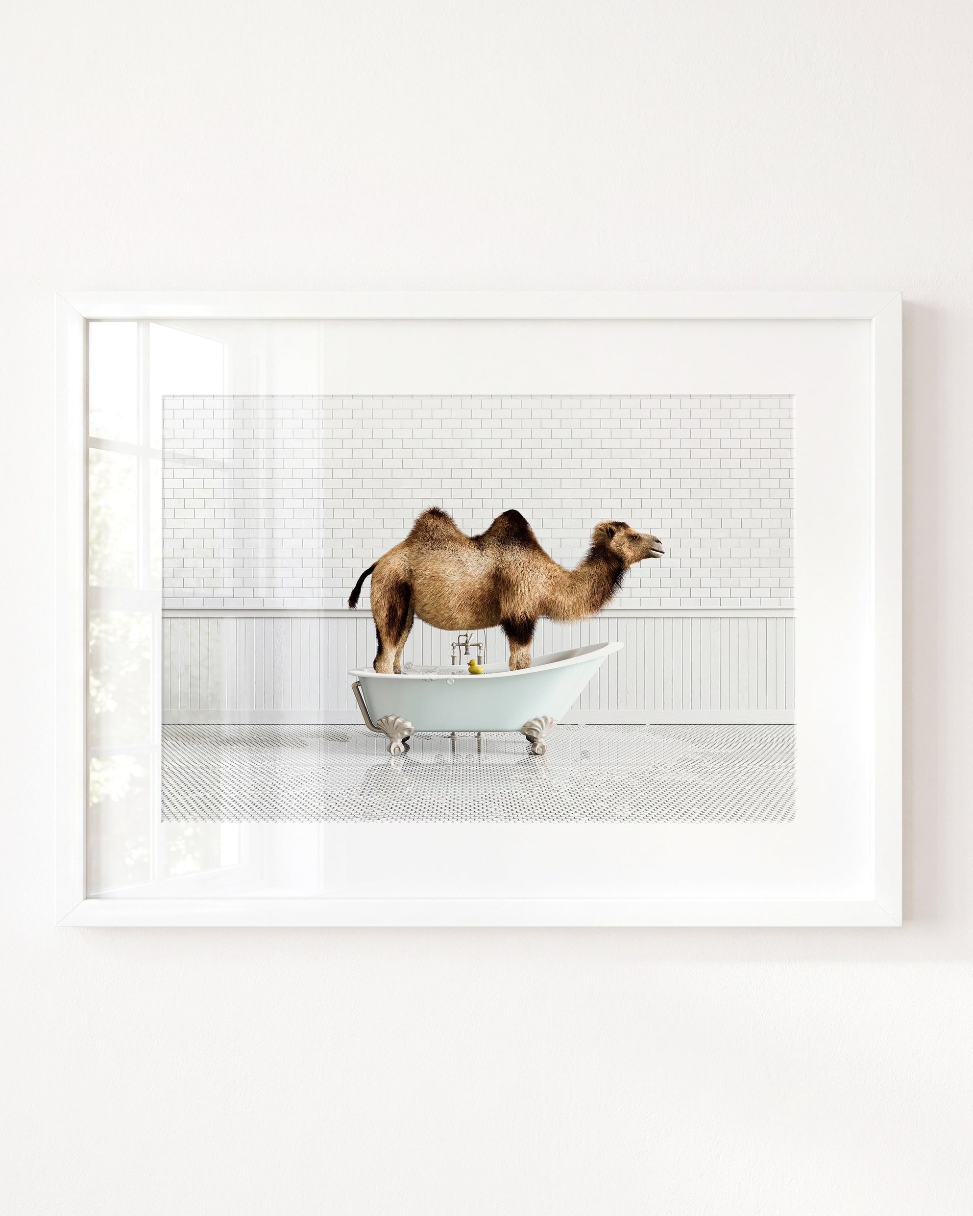 Animals in Bathtubs - Mix and Match Horizontal
