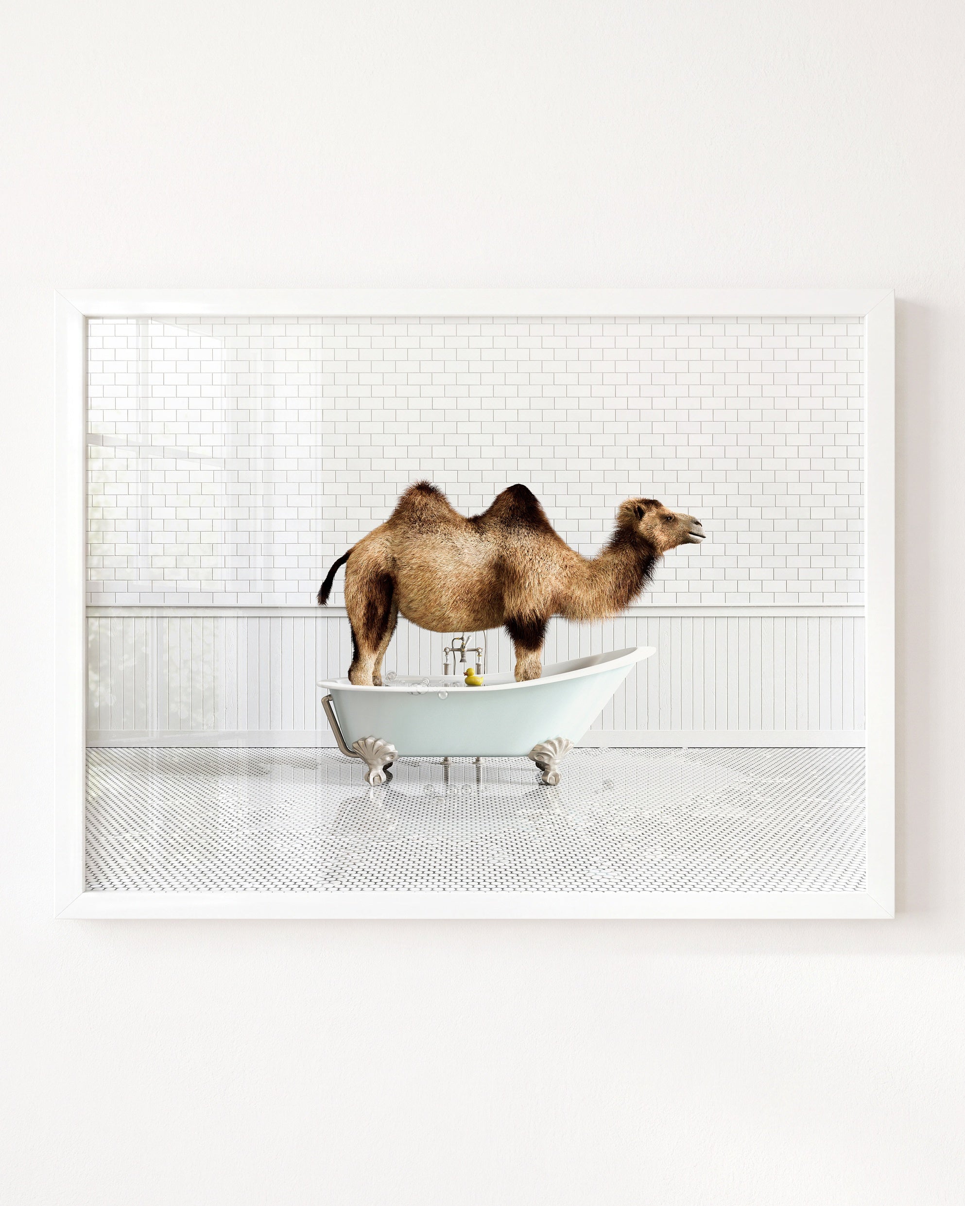 Animals in Bathtubs - Mix and Match Horizontal