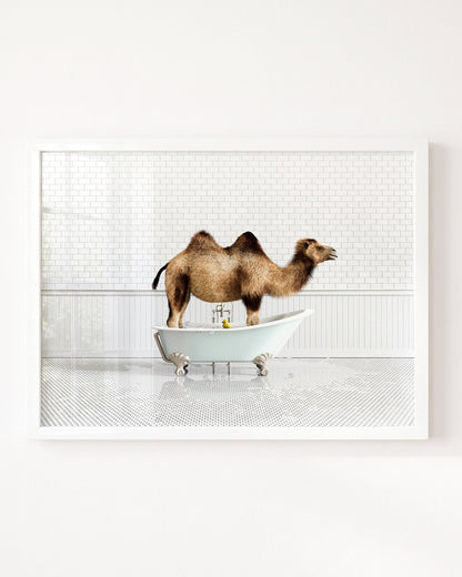 Animals in Bathtubs - Mix and Match Horizontal