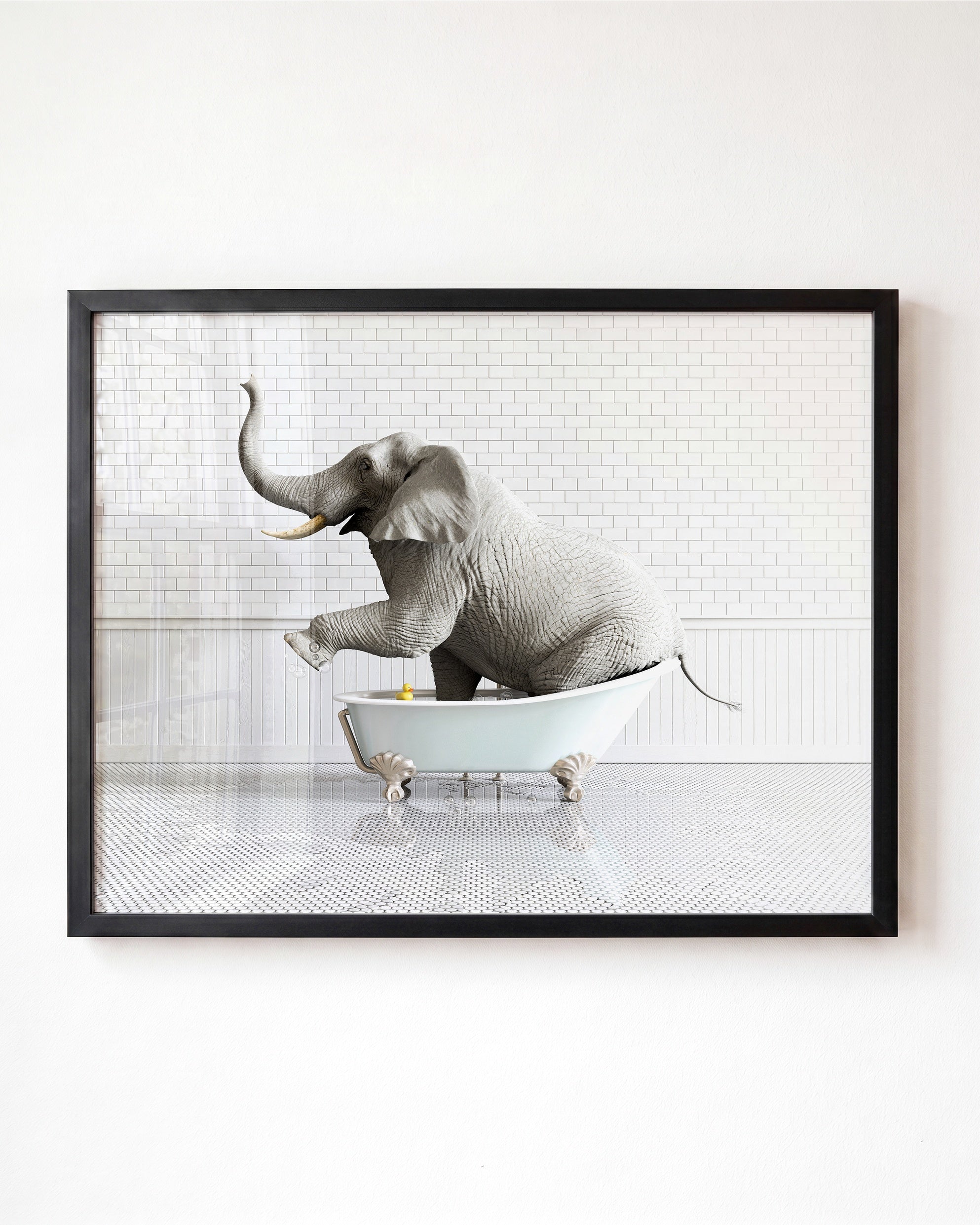 Animals in Bathtubs - Mix and Match Horizontal