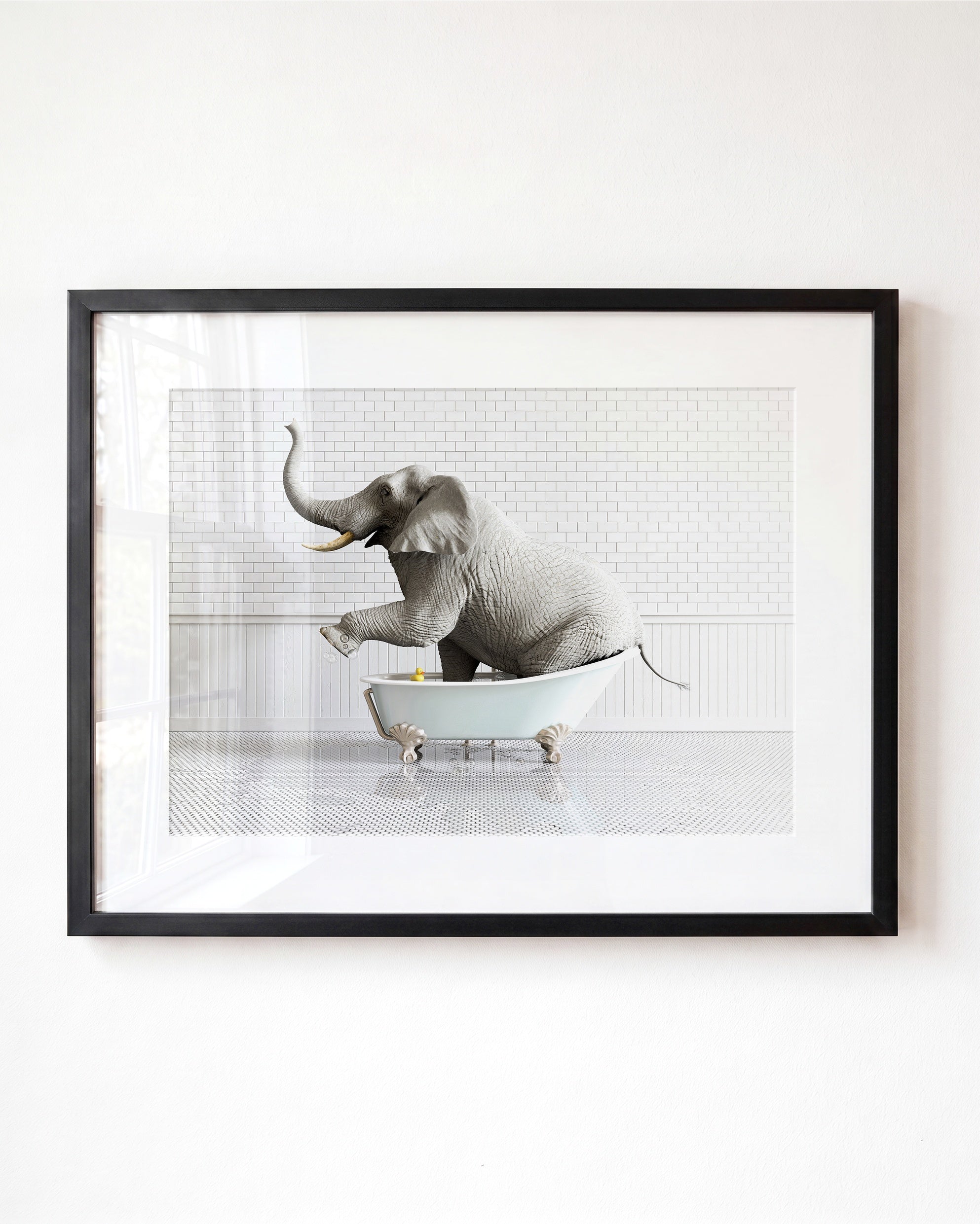 Animals in Bathtubs - Mix and Match Horizontal