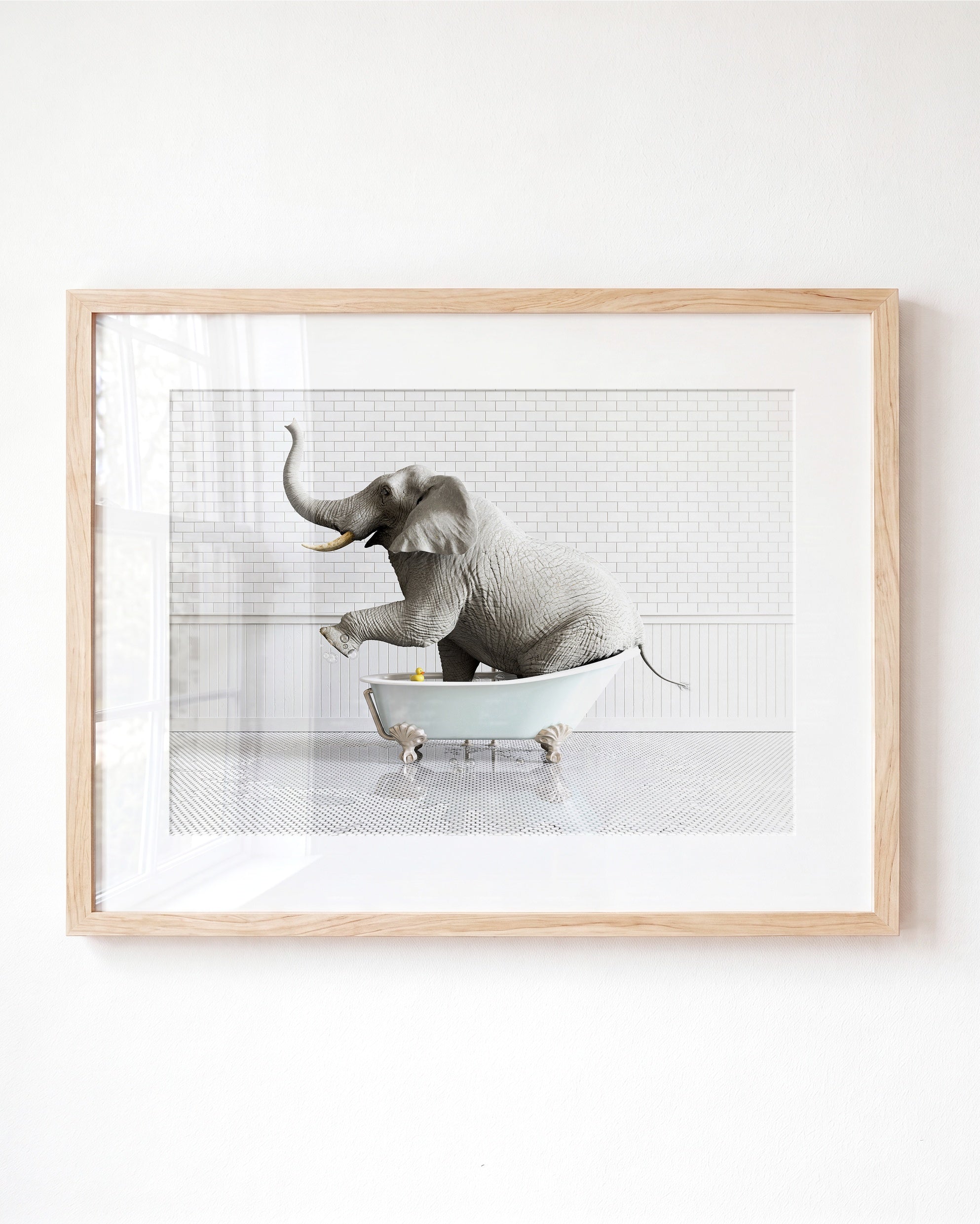 Animals in Bathtubs - Mix and Match Horizontal