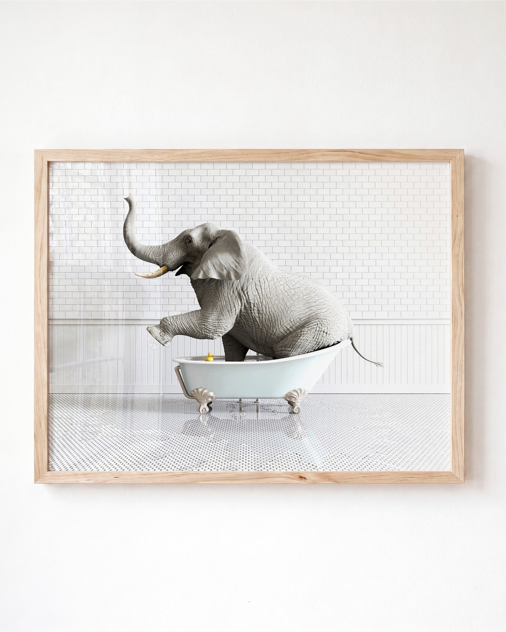 Animals in Bathtubs - Mix and Match Horizontal