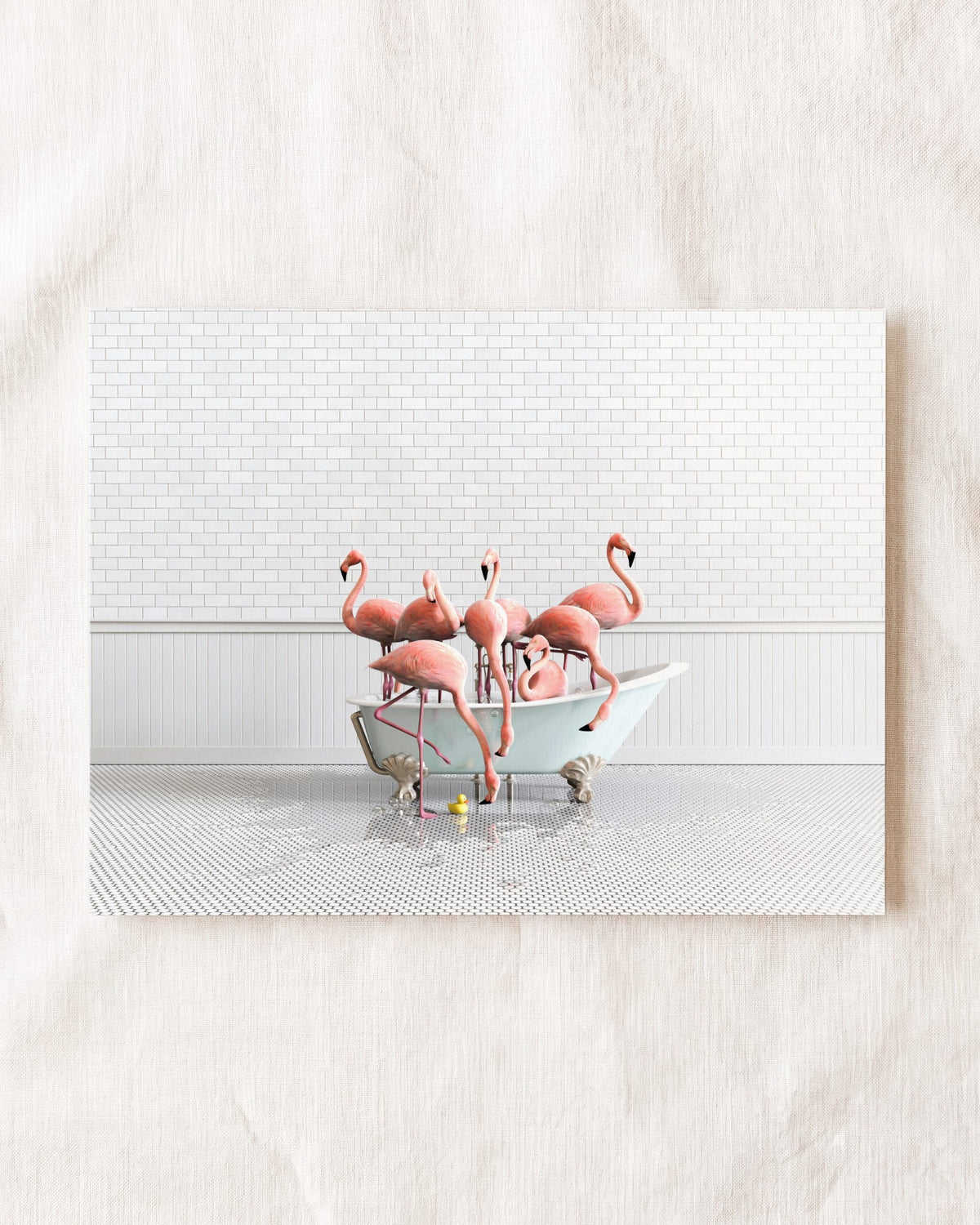 Animals in Bathtubs - Mix and Match Horizontal