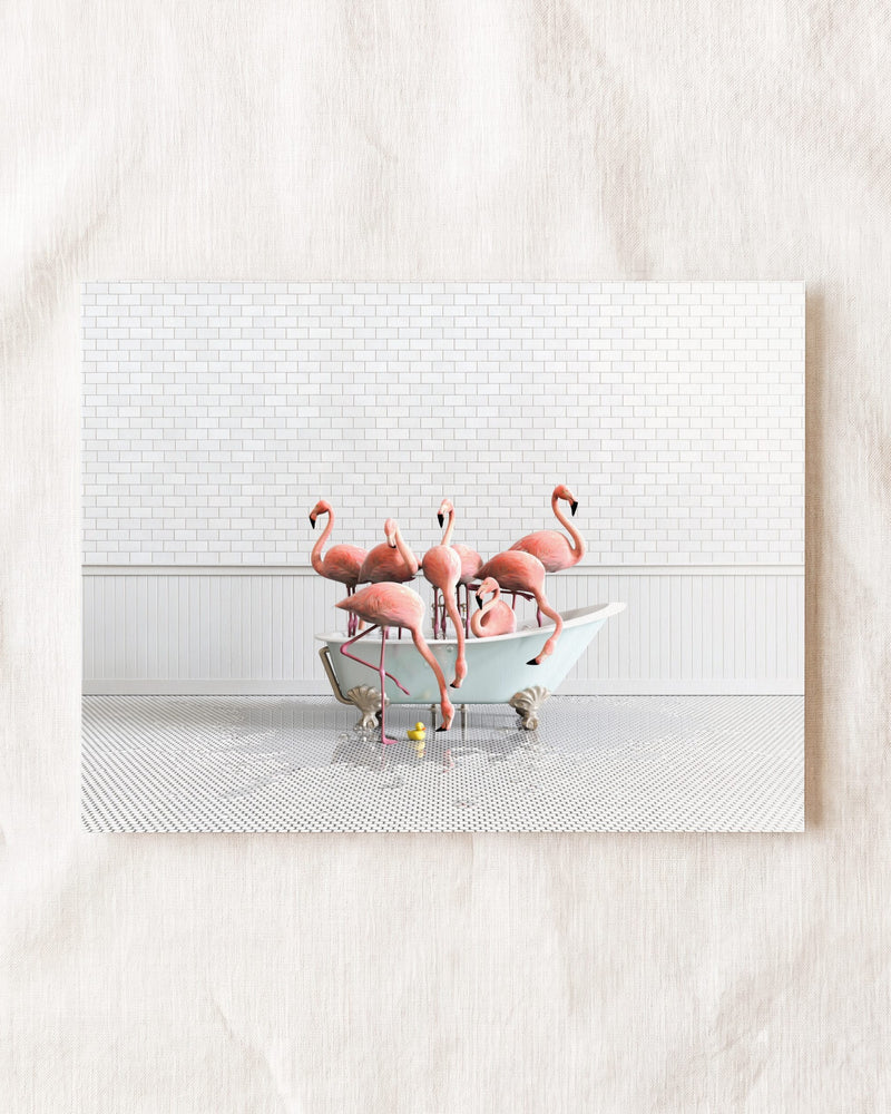 Flamingos