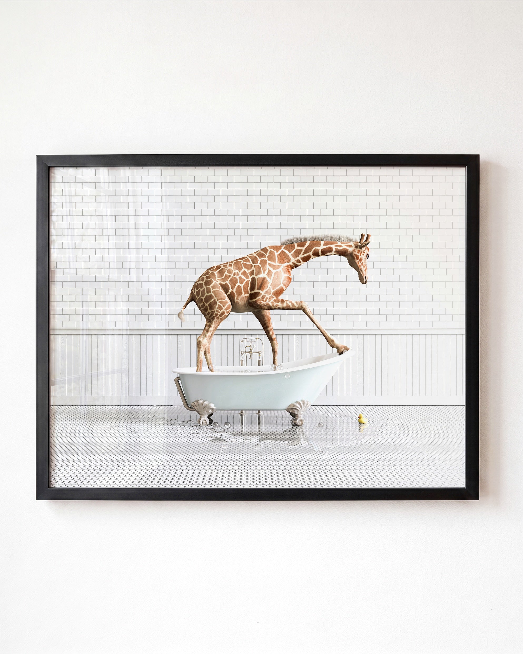 Animals in Bathtubs - Mix and Match Horizontal