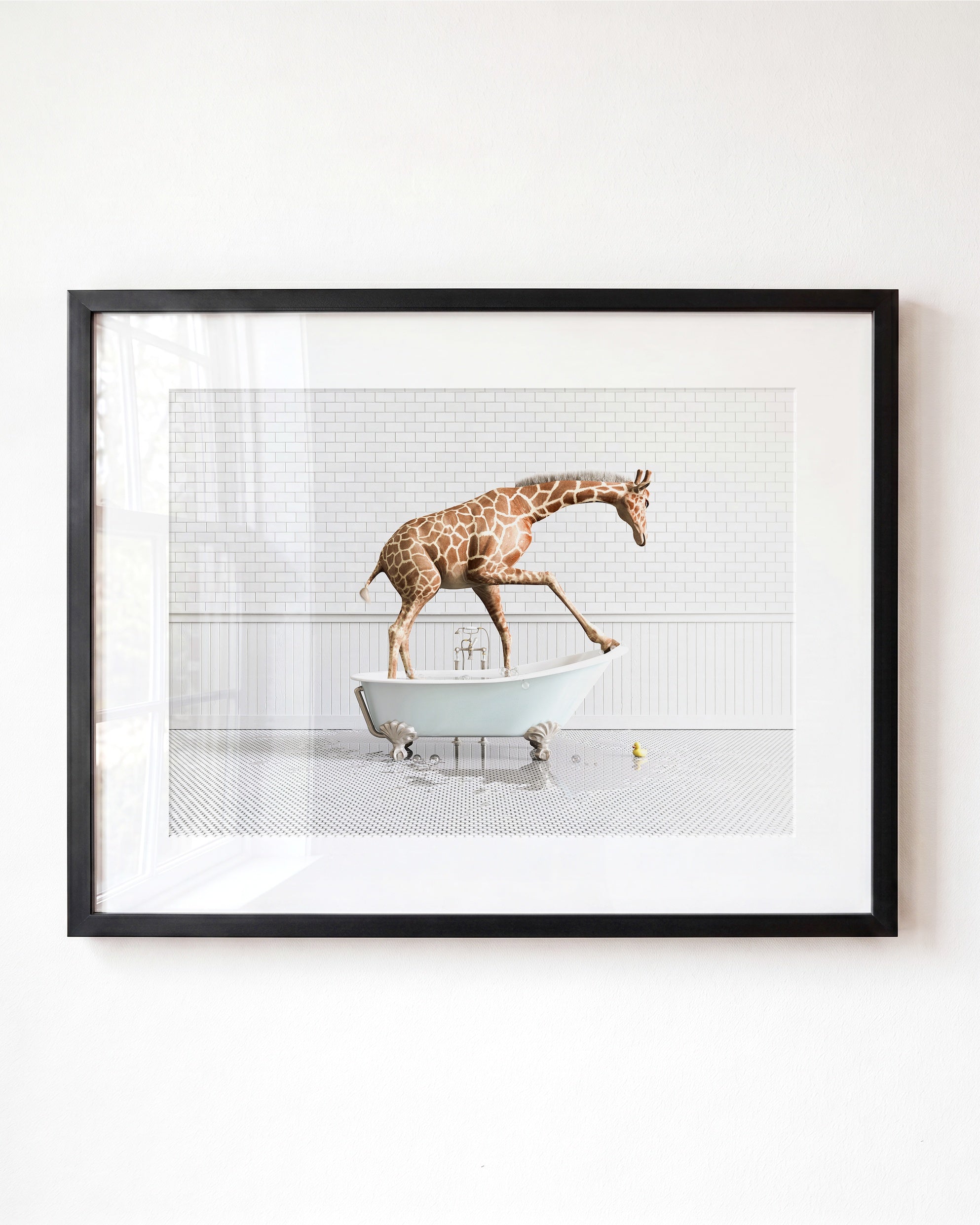 Animals in Bathtubs - Mix and Match Horizontal